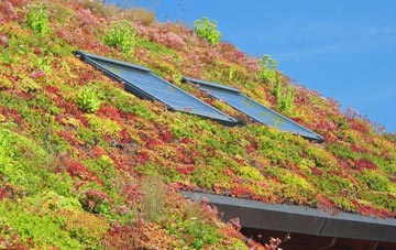 Mere Heath living roof systems